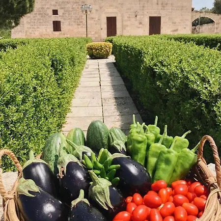 Çiftlik konaklama Masseria Giancola *